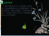 2.1.1植物细胞工程的基本技术（课件）高二生物（人教版2019选择性必修3）