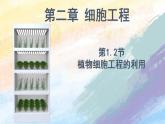 2.1.2 植物细胞工程的应用 (课件）高二生物（人教版2019选择性必修3）