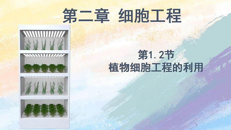 2.1.2 植物细胞工程的应用 (课件）高二生物（人教版2019选择性必修3）01