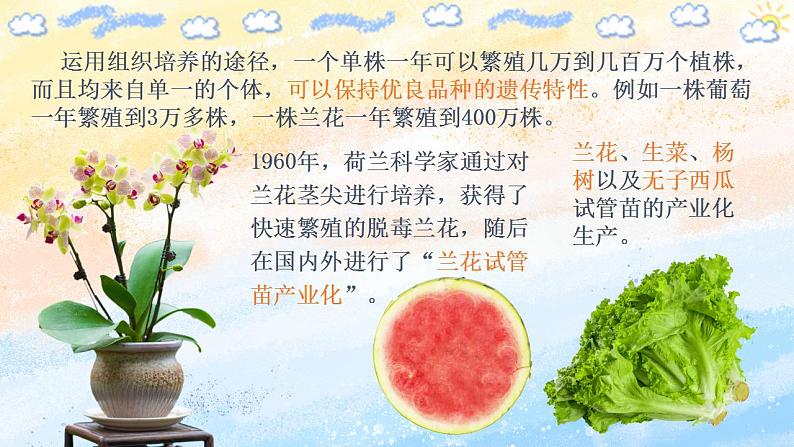 2.1.2 植物细胞工程的应用 (课件）高二生物（人教版2019选择性必修3）04