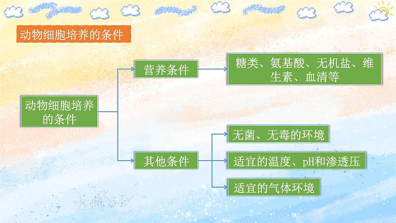 2.2.1 动物细胞培养 (课件）高二生物（人教版2019选择性必修3）06