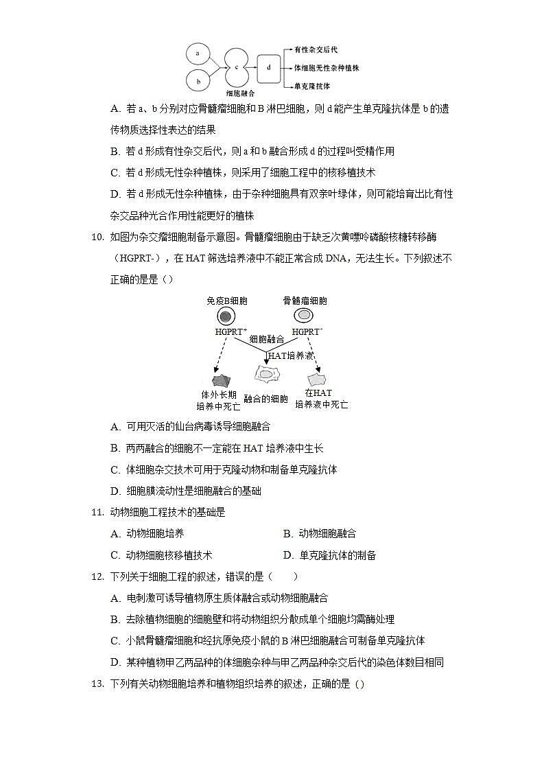 2.2.2 动物细胞融合技术与单克隆抗体 (作业）高二生物（人教版2019选择性必修3）03