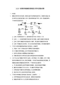 人教版 (2019)选择性必修3三 动物体细胞核移植技术和克隆动物精品同步训练题