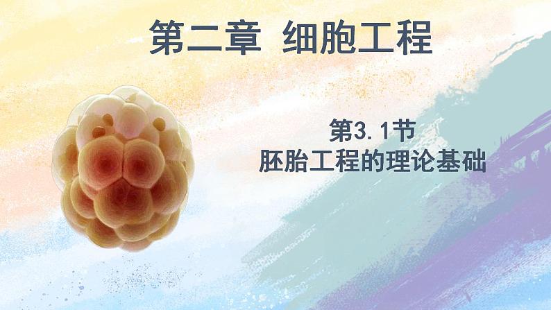 2.3.1 胚胎工程的理论基础 (课件）高二生物（人教版2019选择性必修3）01