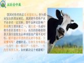 2.3.1 胚胎工程的理論基礎(chǔ) (課件）高二生物（人教版2019選擇性必修3）