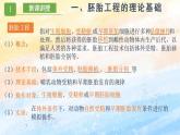 2.3.1 胚胎工程的理論基礎(chǔ) (課件）高二生物（人教版2019選擇性必修3）