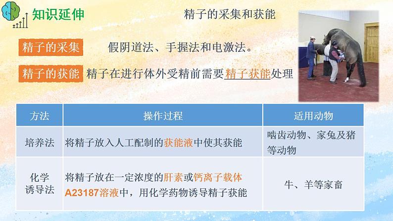 2.3.2 胚胎工程技术及其应用 (课件）高二生物（人教版2019选择性必修3）第6页