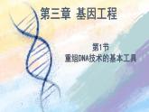3.1 重组DNA技术的基本工具 (课件）高二生物（人教版2019选择性必修3）
