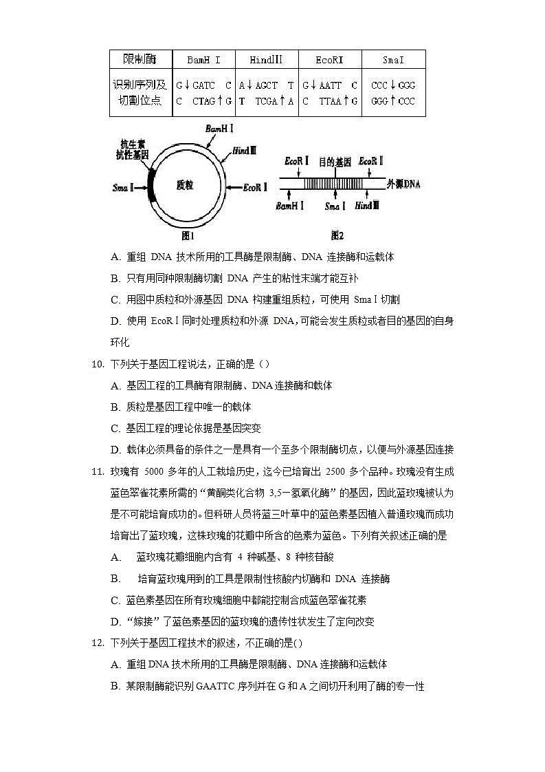 3.1 重组DNA技术的基本工具 (作业）高二生物（人教版2019选择性必修3）03