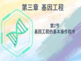 3.2 基因工程的基本操作程序（课件）高二生物（人教版2019选择性必修3）