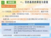 3.2 基因工程的基本操作程序（课件）高二生物（人教版2019选择性必修3）