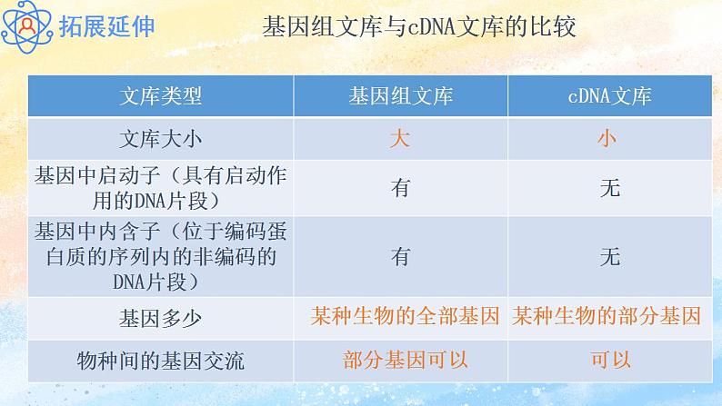 3.2 基因工程的基本操作程序（课件）高二生物（人教版2019选择性必修3）08