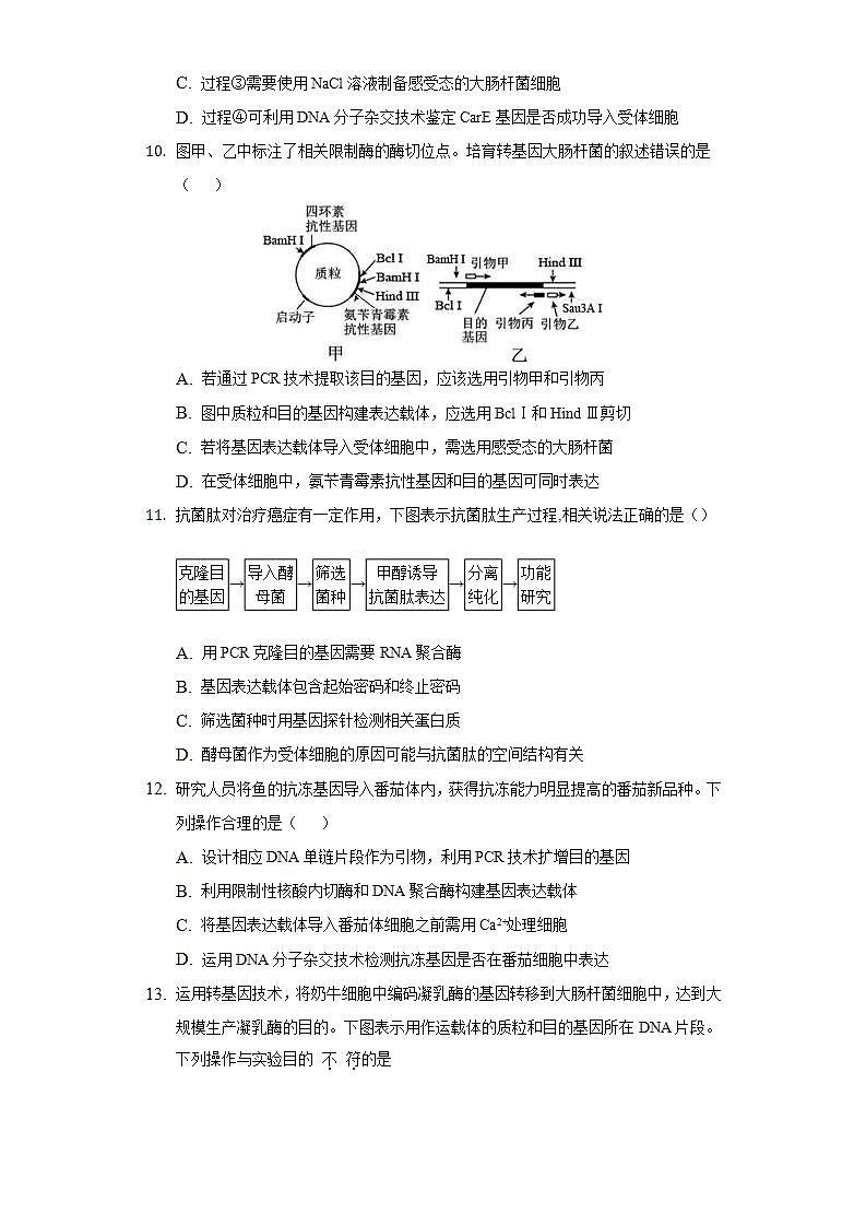 3.2 基因工程的基本操作程序（作业）高二生物（人教版2019选择性必修3）03