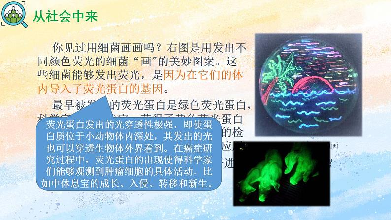 3.4 蛋白质工程的原理和应用 (备课件）-【上好课】2021-2022学年高二生物同步备课系列（人教版2019选择性必修3）第3页