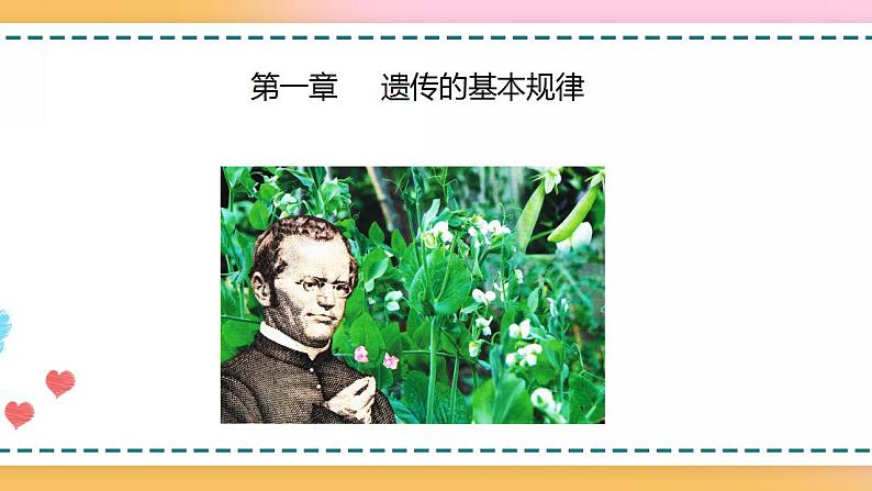 第一章 第一节 孟德尔从一对相对性状的杂交实验中总结出分离定律（课件）-【名校同步】2021-2022学年高一生物精品课件（浙科版2019必修2）03