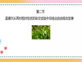 第一章 第二节 孟德尔从两对相对性状的杂交实验中总结出自由组合定律（课件）-【名校同步】2021-2022学年高一生物精品课件（浙科版2019必修2）