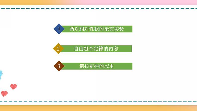 第一章 第二节 孟德尔从两对相对性状的杂交实验中总结出自由组合定律（课件）-【名校同步】2021-2022学年高一生物精品课件（浙科版2019必修2）04