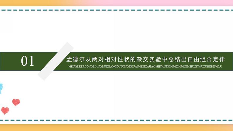 第一章 第二节 孟德尔从两对相对性状的杂交实验中总结出自由组合定律（课件）-【名校同步】2021-2022学年高一生物精品课件（浙科版2019必修2）05