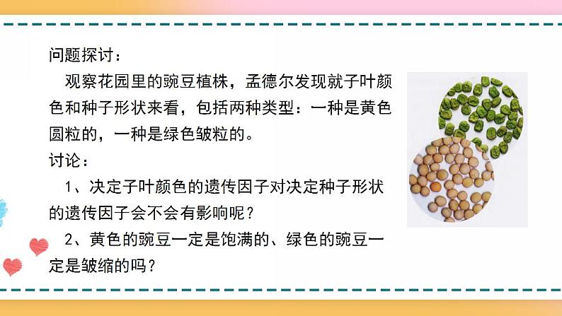 第一章 第二节 孟德尔从两对相对性状的杂交实验中总结出自由组合定律（课件）-【名校同步】2021-2022学年高一生物精品课件（浙科版2019必修2）06