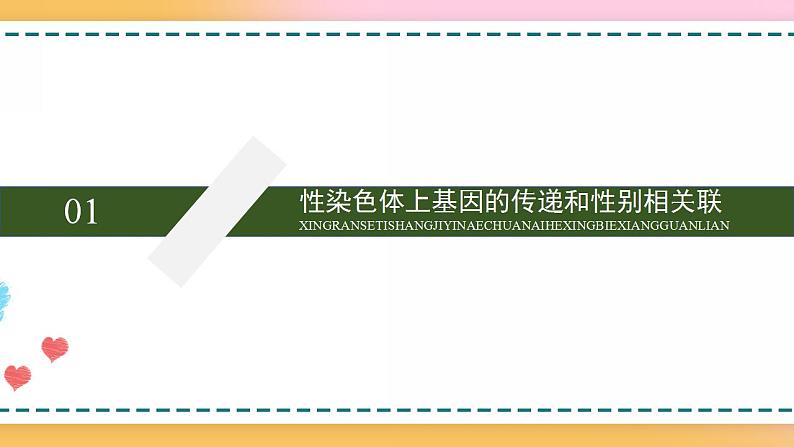 第二章 第三节 性染色体上基因的传递和性别相关联（课件）-【名校同步】2021-2022学年高一生物精品课件（浙科版2019必修2）第5页