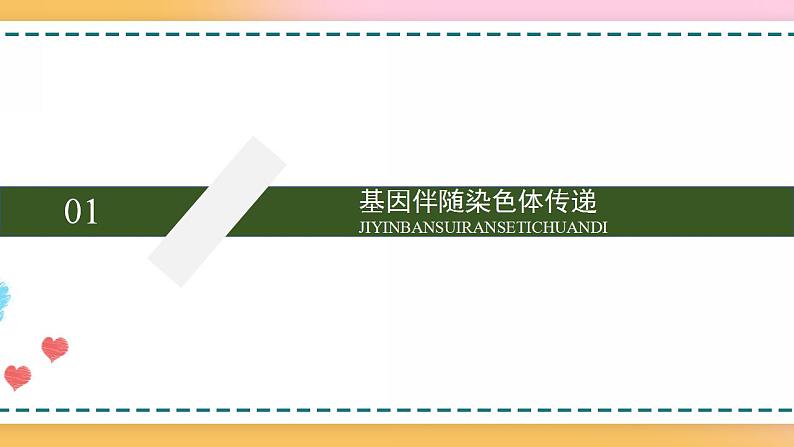 第二章 第二节 基因伴随染色体传递（课件）-【名校同步】2021-2022学年高一生物精品课件（浙科版2019必修2）07