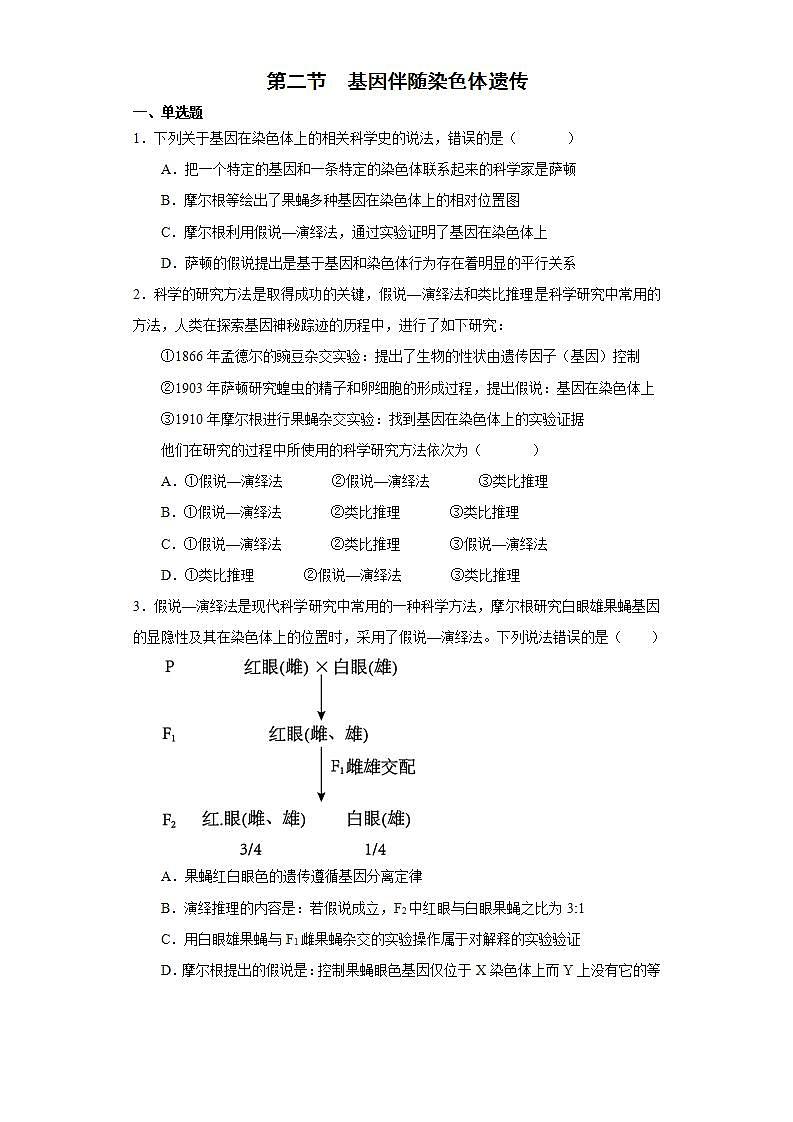 第二章  第二节  基因伴随染色体遗传（原卷版）01