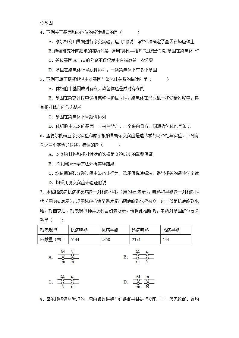 第二章  第二节  基因伴随染色体遗传（原卷版）02