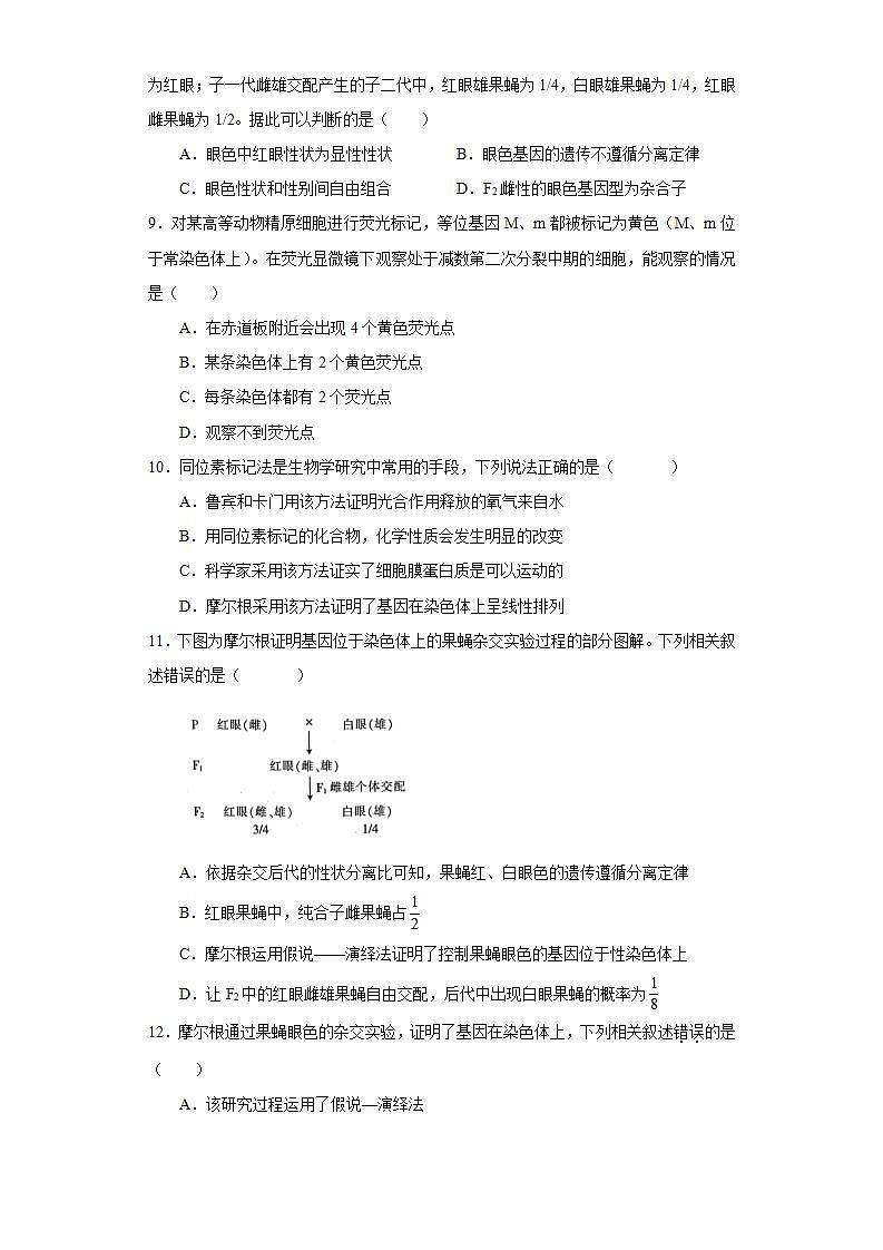 第二章  第二节  基因伴随染色体遗传（原卷版）03