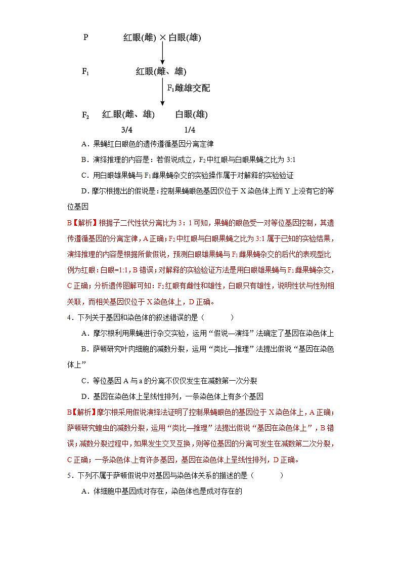 第二章  第二节  基因伴随染色体遗传（解析版）第2页