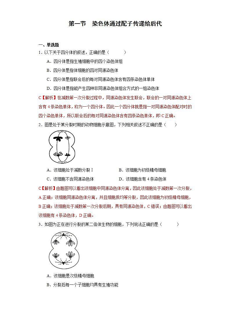 第二章 第一节 染色体通过配子传递给后代（解析版） 试卷01