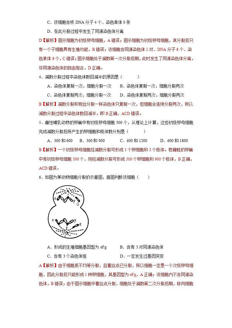 第二章 第一节 染色体通过配子传递给后代（解析版） 试卷02