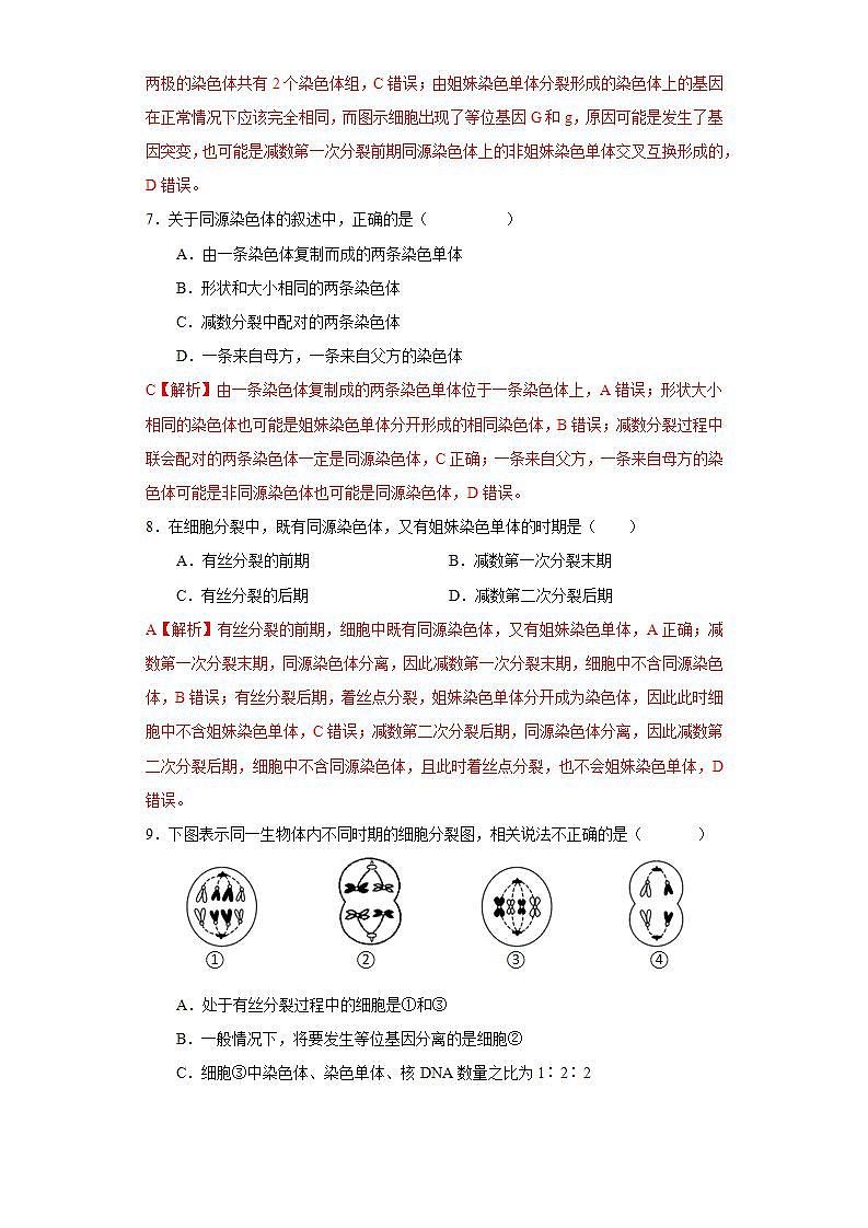 第二章 第一节 染色体通过配子传递给后代（解析版） 试卷03