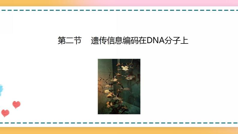 第三章  第二节  遗传信息编码在DNA分子上（课件）-【名校同步】2021-2022学年高一生物精品课件（浙科版2019必修2）03