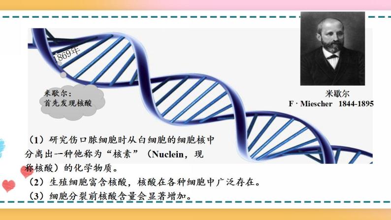 第三章  第二节  遗传信息编码在DNA分子上（课件）-【名校同步】2021-2022学年高一生物精品课件（浙科版2019必修2）06