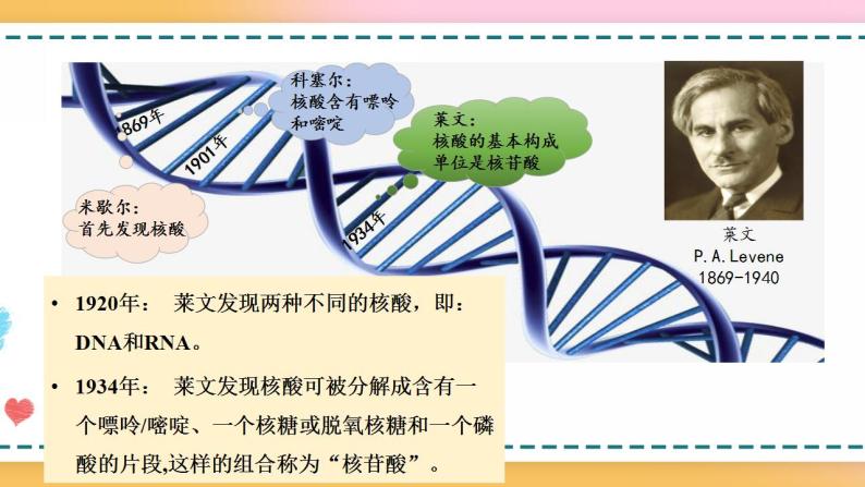 第三章  第二节  遗传信息编码在DNA分子上（课件）-【名校同步】2021-2022学年高一生物精品课件（浙科版2019必修2）08