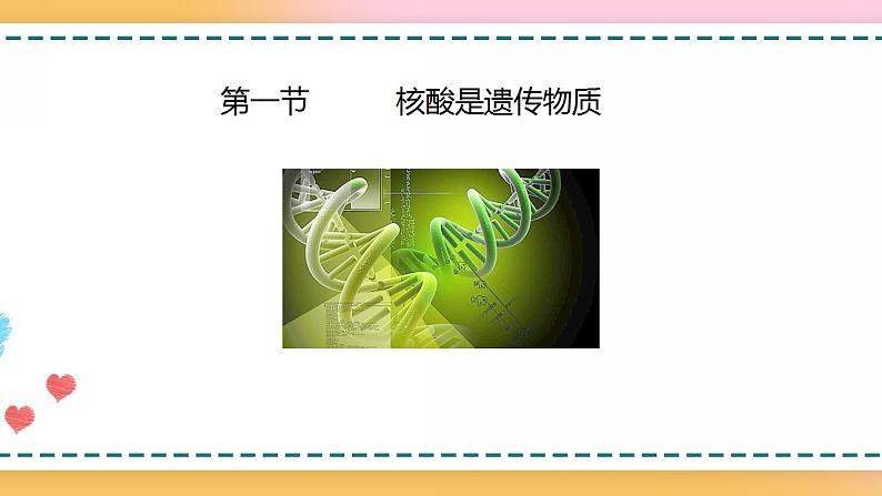 第三章 第一节  核酸是遗传物质（课件）-【名校同步】2021-2022学年高一生物精品课件（浙科版2019必修2）03