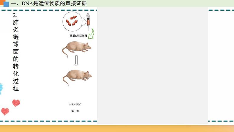 第三章 第一节  核酸是遗传物质（课件）-【名校同步】2021-2022学年高一生物精品课件（浙科版2019必修2）07