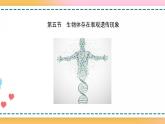 第三章 第五节 生物体存在表观遗传现象（课件）-【名校同步】2021-2022学年高一生物精品课件（浙科版2019必修2）