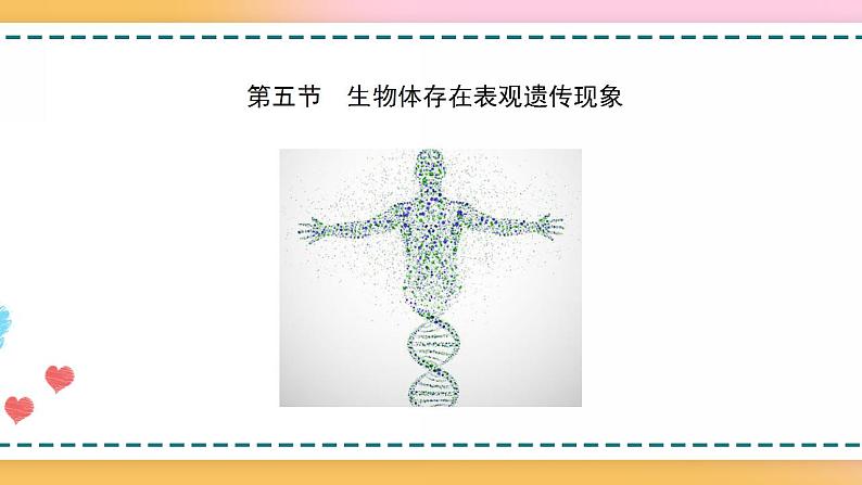 第三章 第五节 生物体存在表观遗传现象（课件）-【名校同步】2021-2022学年高一生物精品课件（浙科版2019必修2）03