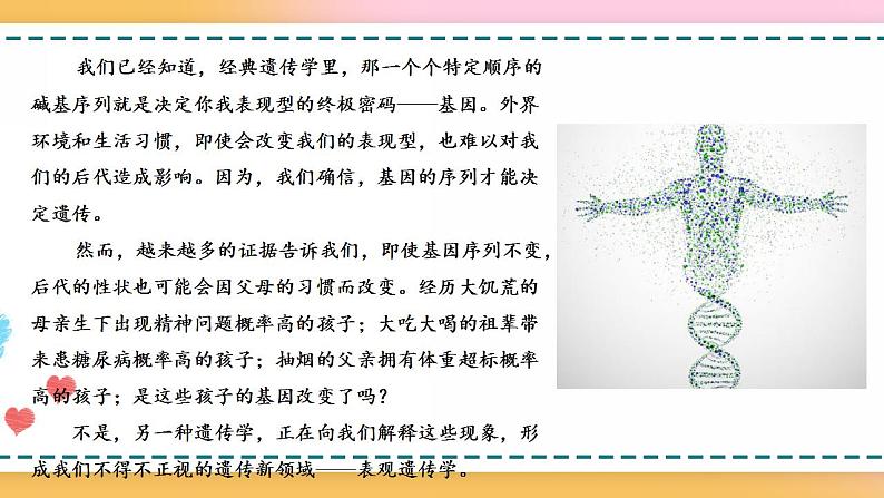 第三章 第五节 生物体存在表观遗传现象（课件）-【名校同步】2021-2022学年高一生物精品课件（浙科版2019必修2）07