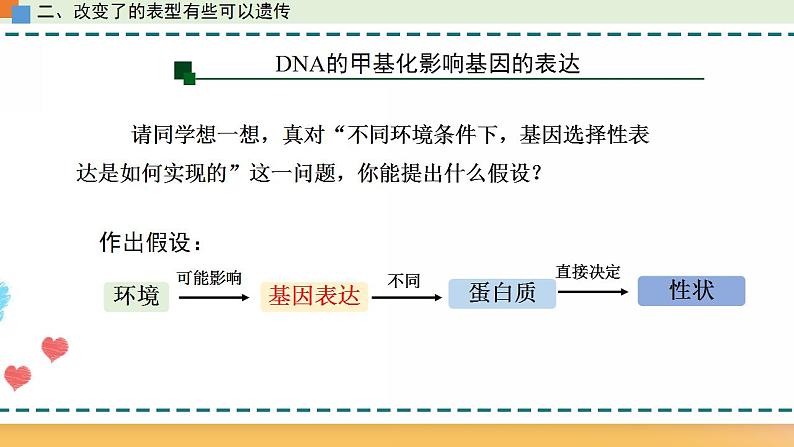 第三章 第五节 生物体存在表观遗传现象（课件）-【名校同步】2021-2022学年高一生物精品课件（浙科版2019必修2）08