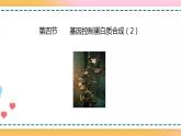 第三章 第四节  基因控制蛋白质合成（第2课时）（课件）-【名校同步】2021-2022学年高一生物精品课件（浙科版2019必修2）