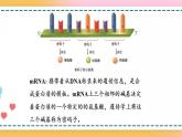 第三章 第四节  基因控制蛋白质合成（第2课时）（课件）-【名校同步】2021-2022学年高一生物精品课件（浙科版2019必修2）