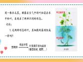 第三章 第四节  基因控制蛋白质合成（第3课时）（课件）-【名校同步】2021-2022学年高一生物精品课件（浙科版2019必修2）