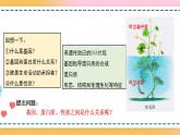 第三章 第四节  基因控制蛋白质合成（第3课时）（课件）-【名校同步】2021-2022学年高一生物精品课件（浙科版2019必修2）