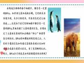 第三章 第四节 基因控制蛋白质合成（第1课时）（课件）-【名校同步】2021-2022学年高一生物精品课件（浙科版2019必修2）