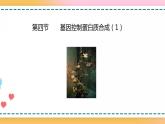 第三章 第四节 基因控制蛋白质合成（第1课时）（课件）-【名校同步】2021-2022学年高一生物精品课件（浙科版2019必修2）