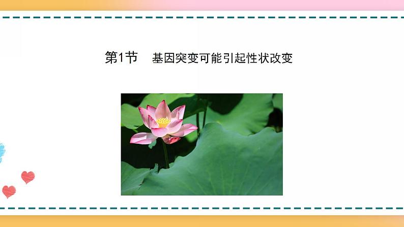 第四章 第一节 基因突变可能引起性状改变-【名校同步】2021-2022学年高一生物精品课件（浙科版2019必修2）04