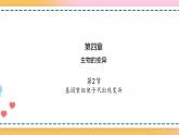 第四章 第二节 基因重组使子代出现变异-【名校同步】2021-2022学年高一生物精品课件（浙科版2019必修2）