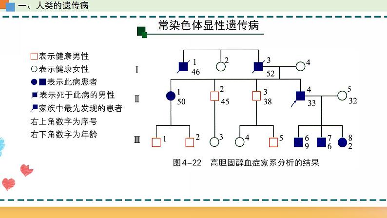 第四章 第四节 人类遗传病是可以检测和预防的-【名校同步】2021-2022学年高一生物精品课件（浙科版2019必修2）08